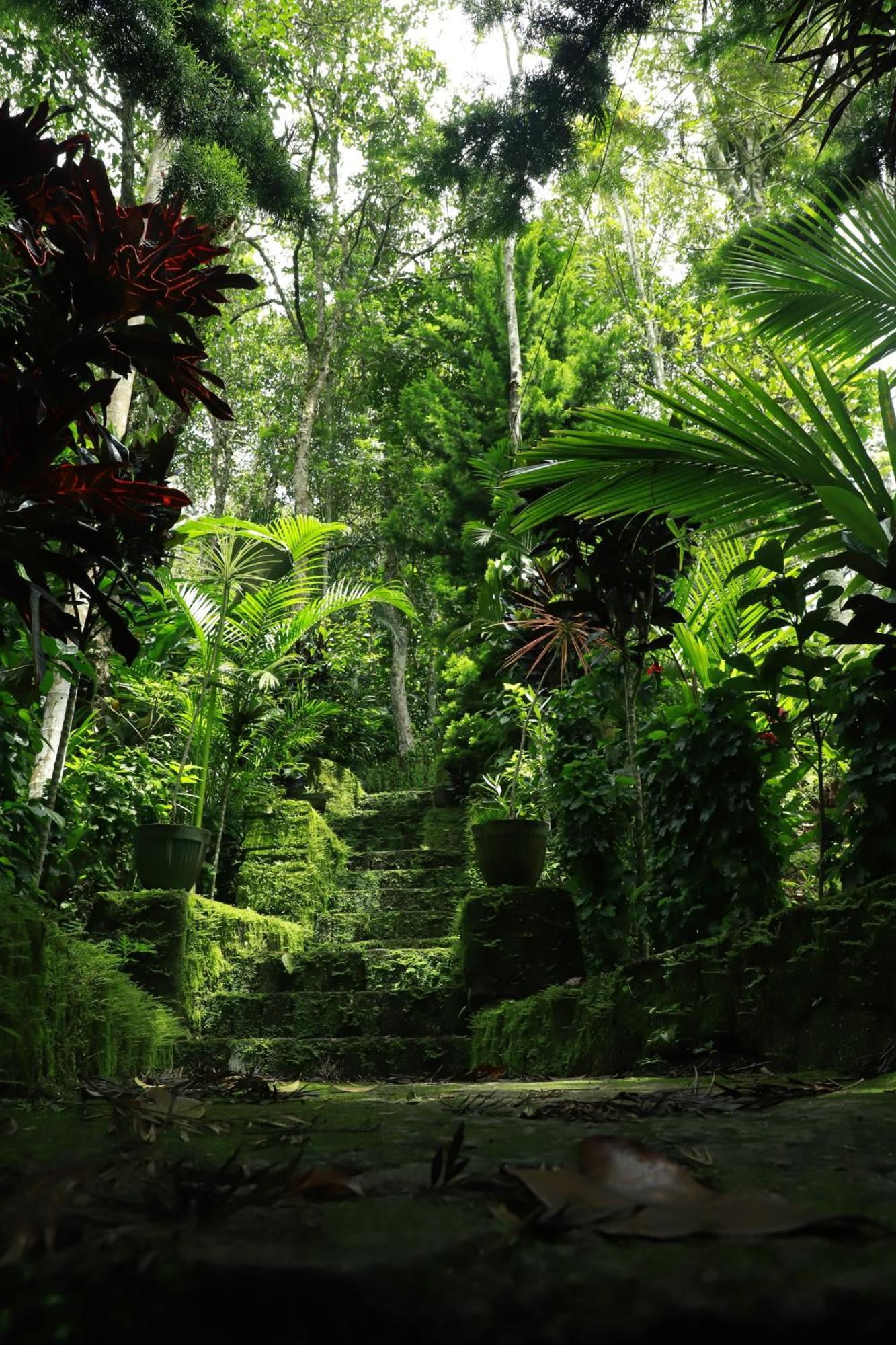 Nature Villa Anachal Exterior photo